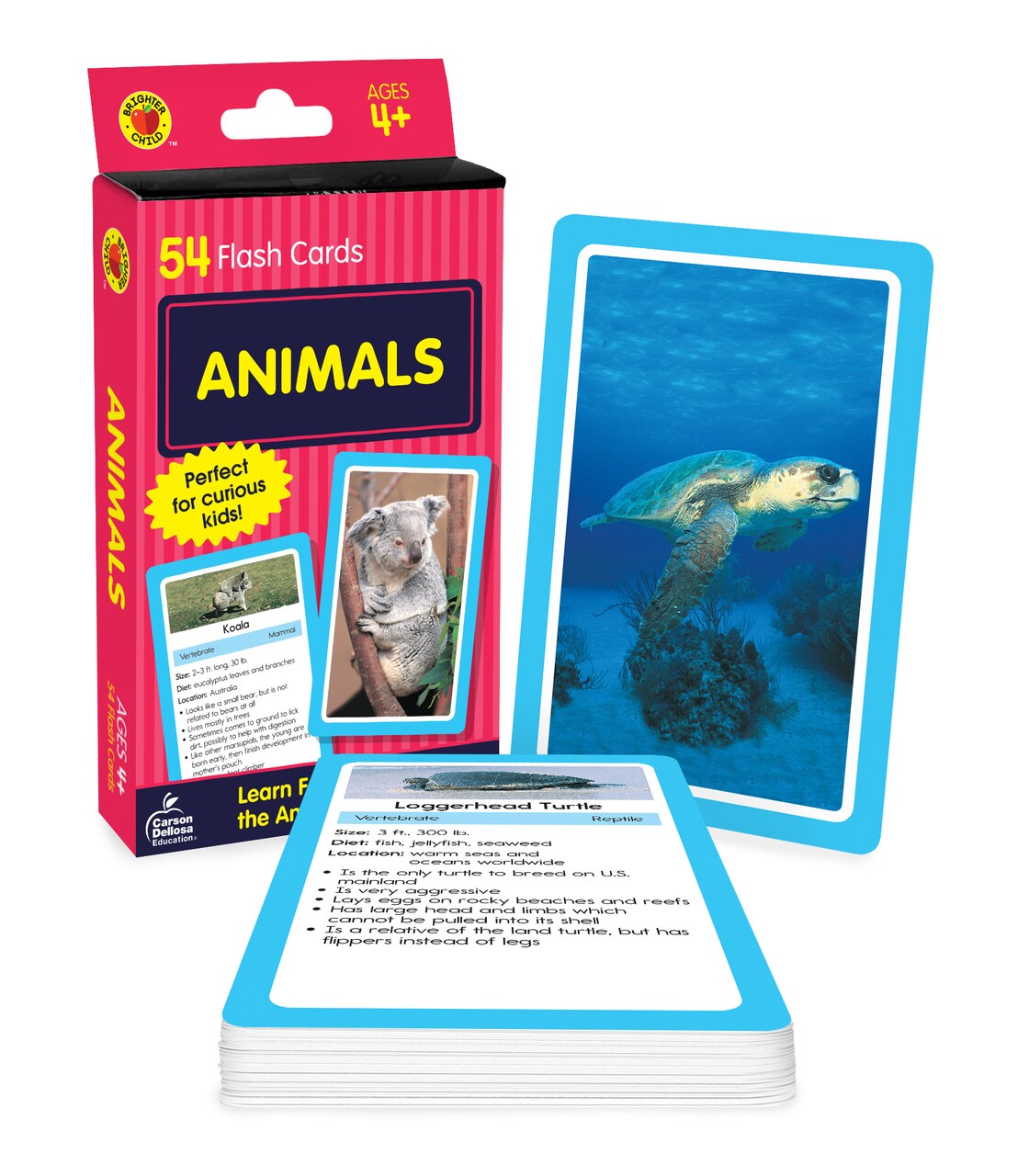 Carson Dellosa Animal Flash Cards, Animal Flash Cards for Toddlers 2-4 Years, Zoo Animals, Sea Animals, Insects, Reptiles, and Other Mammals, Preschool and Kindergarten Flash Cards